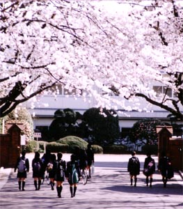 埼玉県立川越女子高等学校を卒業？