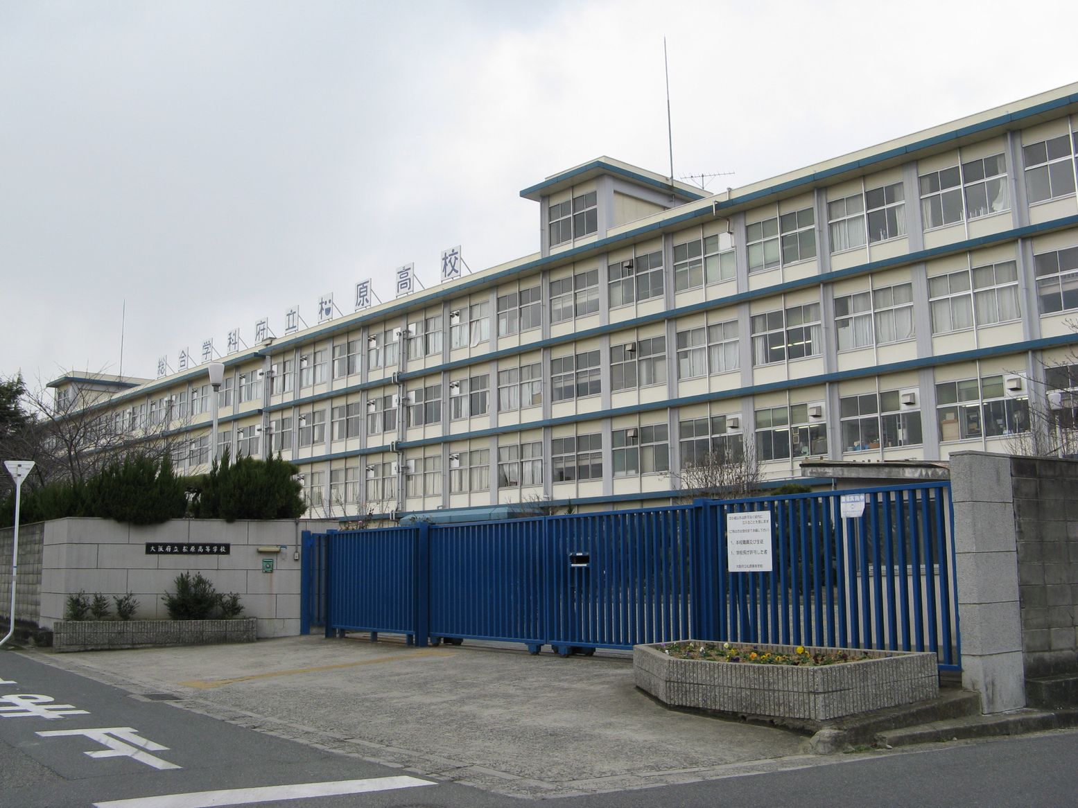 出身高校：大阪府立松原高等学校