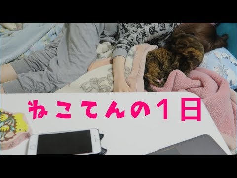 毎日休日堕落 - YouTube