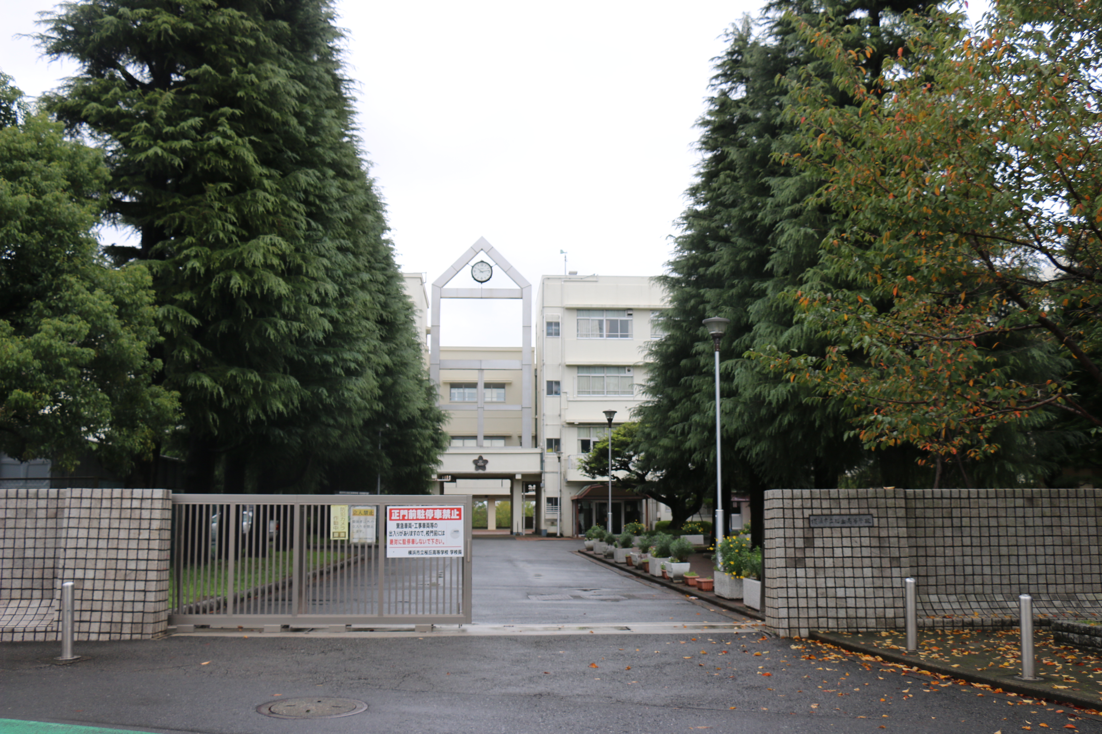 出身高校：横浜市立桜丘高等学校