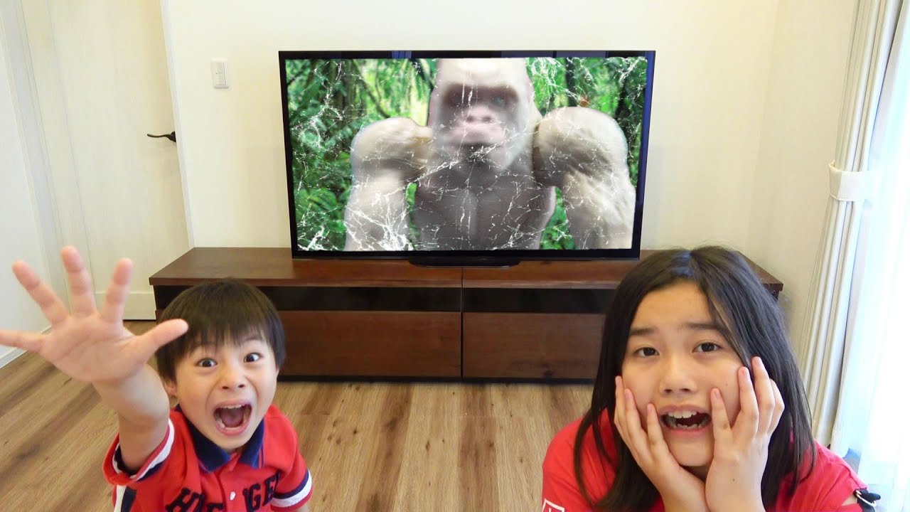 アニア テレビから白ゴリラ 飛び出す！？ ごっこ遊び こうくんねみちゃん White gorilla destroys TV ANIA - YouTube