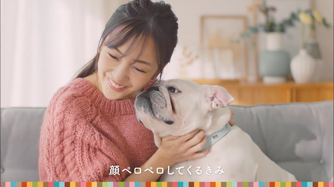 #愛犬ほっこりあるある 〜feat.板野友美〜　by UCC BEANS&ROASTERS - YouTube