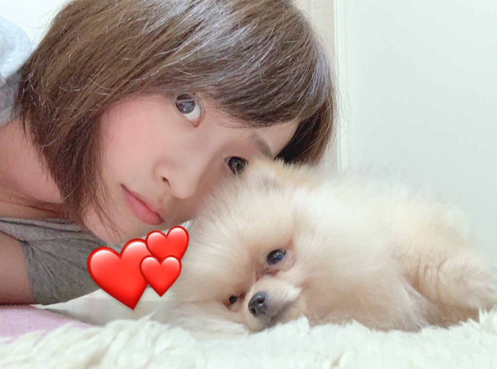 最近、犬を飼い始めた！