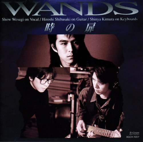 17位：WANDS