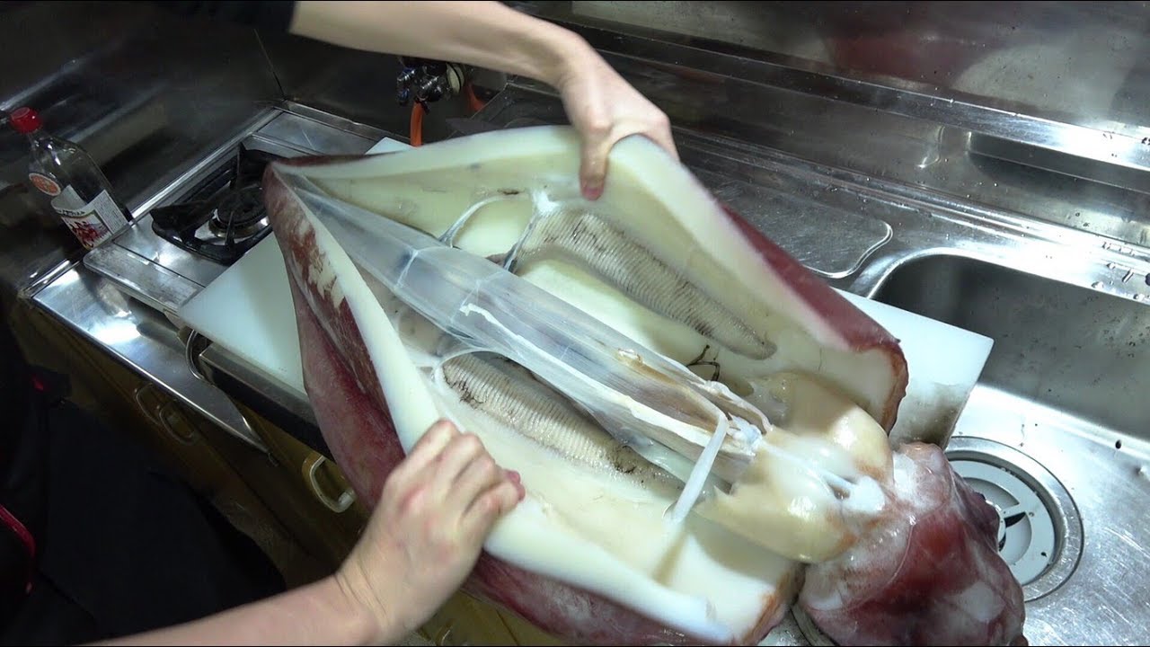 【ノーカット】巨大イカのさばきかた　でかい　こわい　【タルイカのさばきかた】Gigantic squid 巨大的鱿鱼 - YouTube