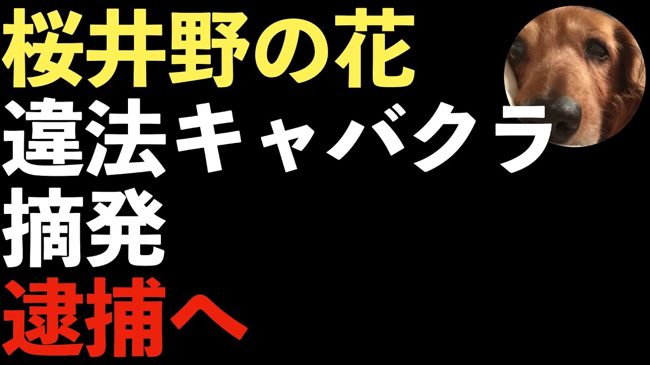 風営法違反で男性従業員が逮捕