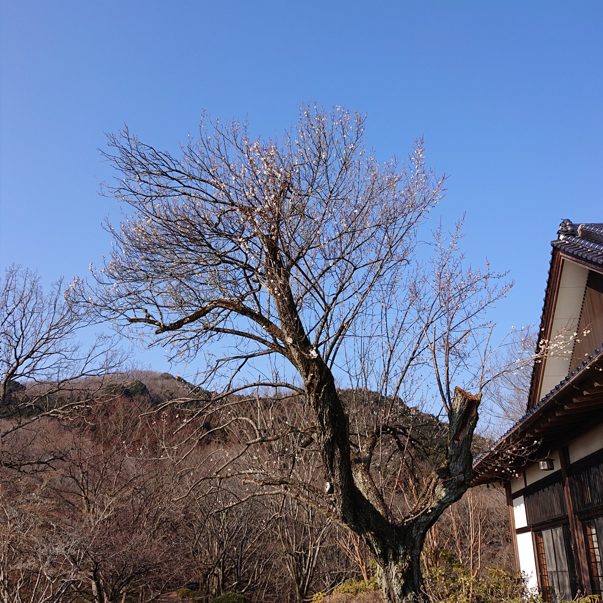 いーむす・アキの死因は明かされていない