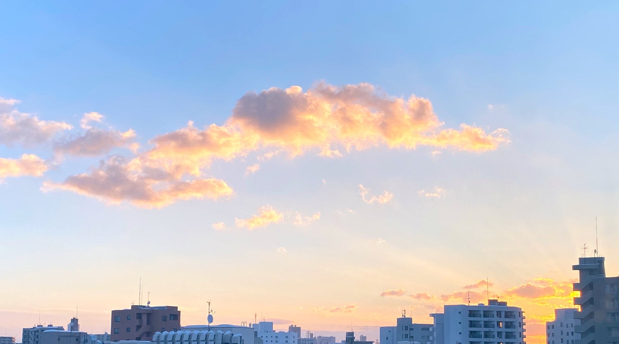 芦原妃名子の出身高校はどこ？