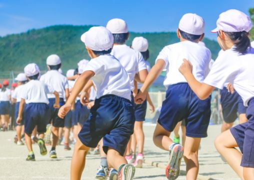 公立小学校8校と私立小学校2校のどこか