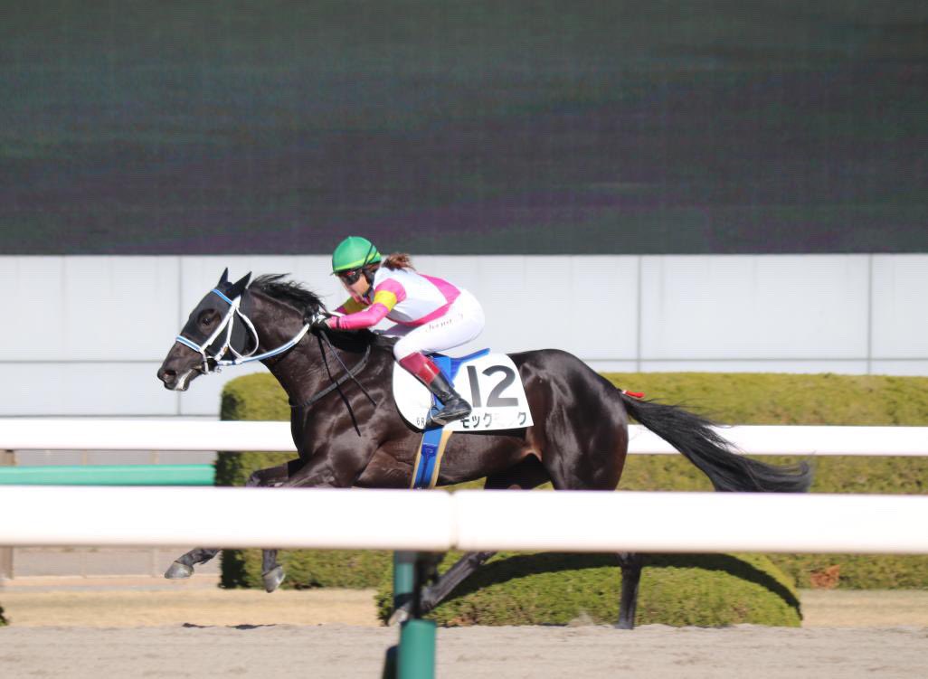 今村聖奈は人気の騎手