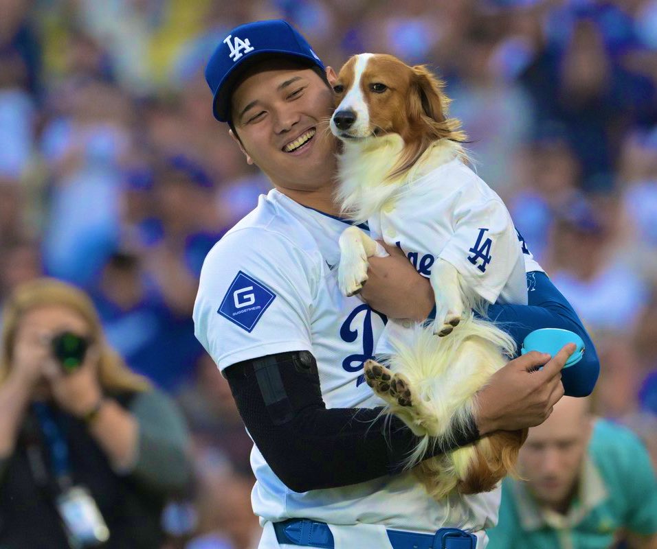 大谷翔平の愛犬デコピンがかわいい